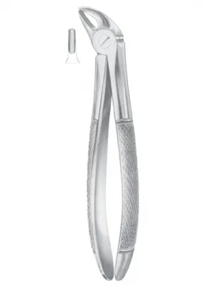 Fig. 38 lower incisors